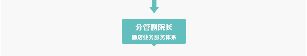 分管副院長(zhǎng)酒店業(yè)務(wù)服務(wù)體系