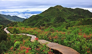 大圍山七星嶺木棧道實(shí)景圖